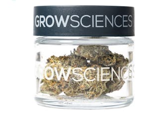 Grow Sciences Jar 3.7g Dante