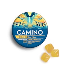 Yuzu Lemon 1:1 | Camino | Balance | 100mg