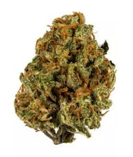 STIIIZY | Super Lemon Haze POPCORN 28g