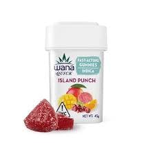 Quick Island Punch Gummies 100mg (10-Pack | 10mg Each)