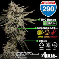 Aura | I-290 | Flower - 3.5g
