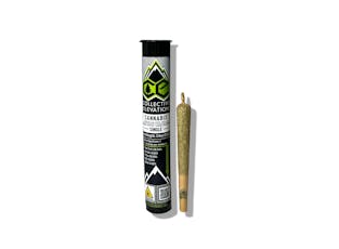 Lemon Maraschino | Preroll
