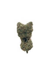 Matty B Stackers Zsunami Buds