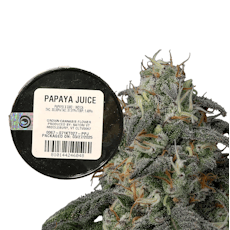 Papaya Juice | 3.5g Jar | Satori
