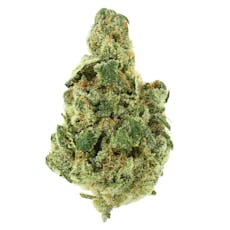 Lost Dutchmen | Banana Meltshake