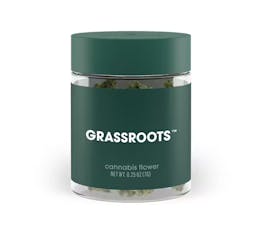 Grassroots Indoor Whole Flower Jar 7g - Lemon Berry Candy OG (Hybrid)