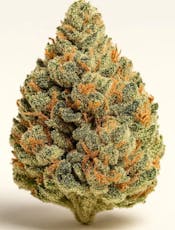 Green | White Widow 28g