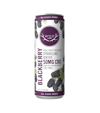 CBD Blackberry Sparkling Waters - 50mg CBD
