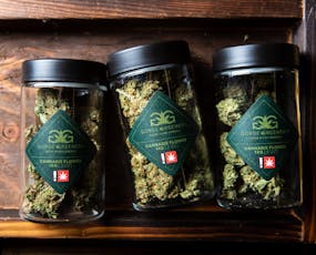 Gud Gardens Hashburger 14g Special