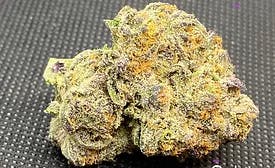 Gold Shelf - Grease Monkey (I)