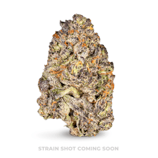 Gaia's Ganja Garden - Rainbow Bright