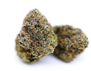 Silver Shelf - Apple Pie (H)