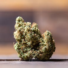 Deep Creek Dog Walker OG