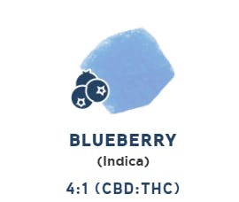 Drops 20pk - Black Currant 1:1:1 CBN