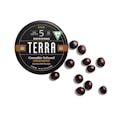 Espresso Bean 100mg Terra Bites
