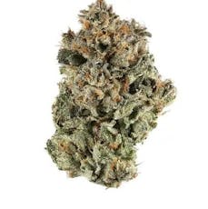 Deli Style Sun Kissed Tier - Sherbet