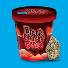 Black Cherry Gelato - 14g Premium