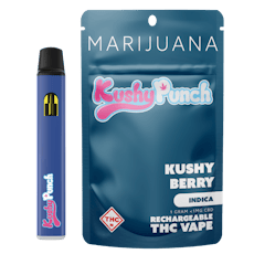 Kushy Berry Disposable Vape (1g)