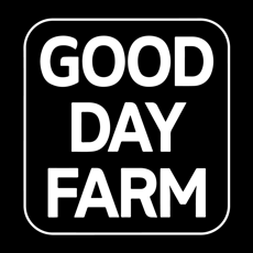 Good Day Slurricane + Blueberry Infused PreRoll (1g)