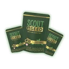 SCOUT & SEED PRE-PACK POPCORN L.I.I.T (S/H) 14G