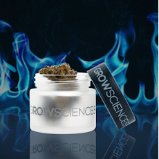 Grow Sciences | Flower | Tropical Cherry | 3.5g