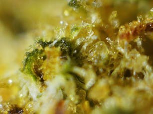 Sunset Lake Craft CBD | SOUR Lifter | CBD | Bulk
