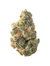 Neon Cactus | Chernobyl 14g