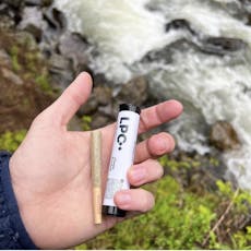 Pre-roll | Dolato | .5g