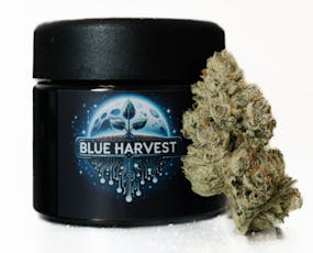 Blue Harvest | Lemon Terpsicle | 3.5g
