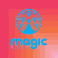 Magic Number - Berry Seltzer - 25mg