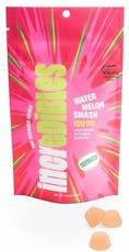 Incredibles | Watermelon Smash Gummies 10pk I 100mg