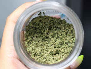Triangle Kush - Shake - Operation Green