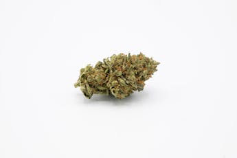 OG 2.0 - Lionheart Cannabis