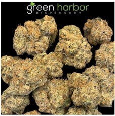 GMO x Jungle Cake - 3.5g