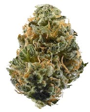 Crown Jewel - 244 - 14g