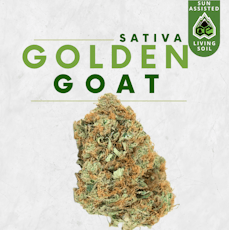 GoldenGoat-Flower|Sativa-Dominant|CE|3.5g