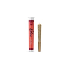 &Shine - White Durban - 1g Pre-Roll
