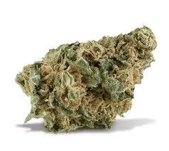 Stiiizy - Sherbet