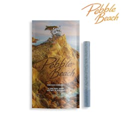Seed Junky - Pebble Beach (s) - Pre-roll - 1g