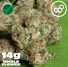 Black Cherry GMO 14g 41464