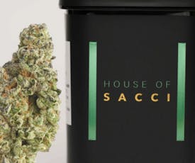 House Of Sacci | Sunny Z | Flower | 0.7g