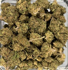 Flower - Champagne Gelato