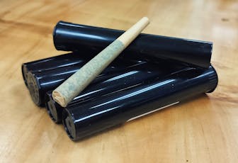 Warm Smores Lisbon Preroll