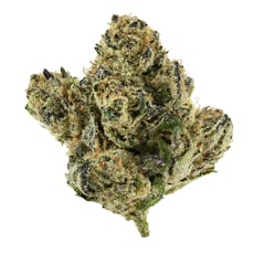 The Flower Shop | Pink Certz