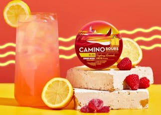 Kiva Camino Gummies Sour Raspberry Lemonade Hybrid - 100mg