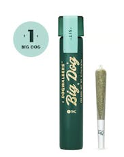 Brownie Scout | 1g Pre-Roll | Big Dogs