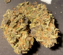 NS Candy Land Indoor Bulk