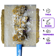 JEETER - PREROLL INFUSED - 0.5G - 5PK - GRANDDADDY PURP - INDICA