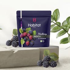 Habitat by Klutch - Blackberry Indica CBN Gummies - 20ct - 1 Day
