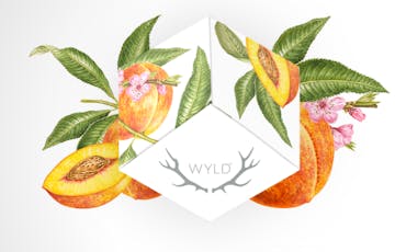 Balanced - Chill Ratioed Peach Gummies 150mg (10-Pack | 15mg Each)